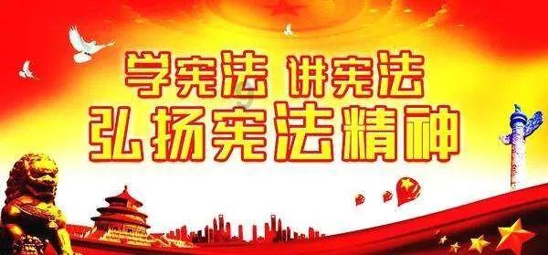 粗粮那么多，农敢网哪一款适合你？