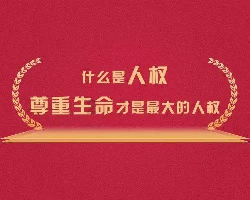 救援可爱的洋葱